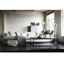 Lichte woonkamer met bank, salontafel, kast en decoratieve elementen