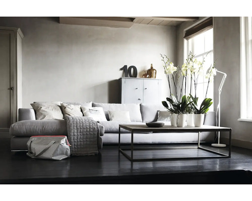 Lichte woonkamer met bank, salontafel, kast en decoratieve elementen