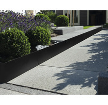 Tuinscene met metalen gazonranden tussen planten en verhard pad