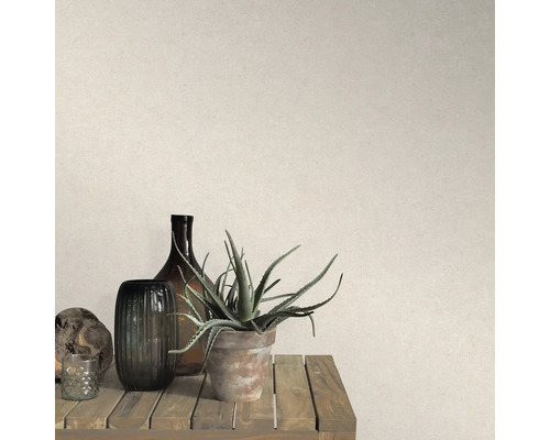 Decoratieve scène met kamerplant, flessen en kaars op een houten tafel voor een muur