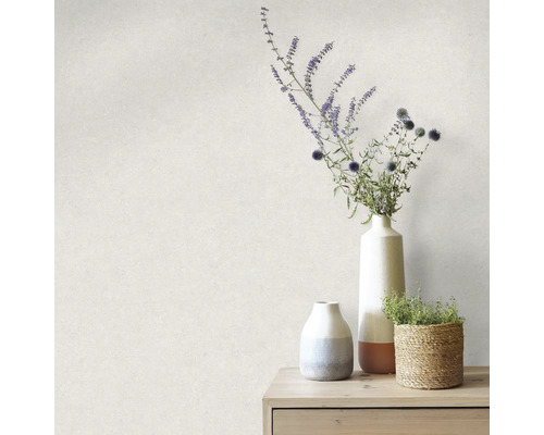 Decoratieve vazen en een plant op een houten tafel voor een muur