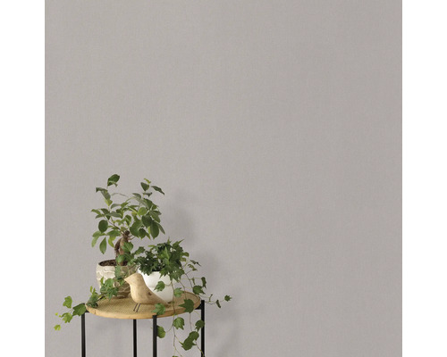 Effen behang met tafel en kamerplanten