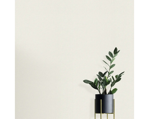 Zamioculcas kamerplant in een pot op een standaard