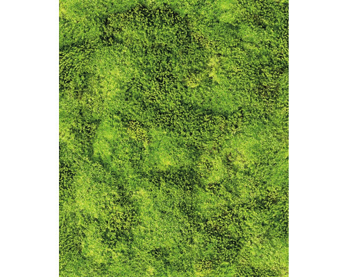 MARBURG Vliesbehang 45733 Struktura natuur groen Mosstructuur voor tuin of decoratie