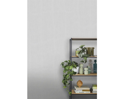 Decoratieve plank met planten en decoratieve elementen voor een muur
