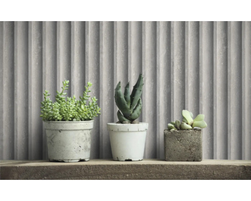 Decoratieve vetplanten in betonnen potten op een houten plank voor wandpanelen