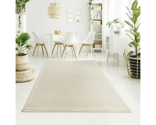 Lichte kamer met eettafel, stoelen, planten en een lichtgekleurd tapijt