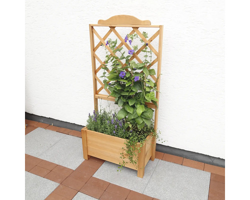 Houten plantenbak met klimrek en bloeiende planten voor een witte muur