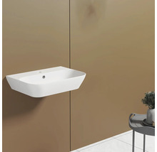 Witte opzetwastafel voor wandmontage in de badkamer