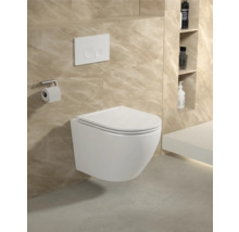 Wandhangend toilet met bedieningspaneel en toiletpapierhouder in een badkamer met planken