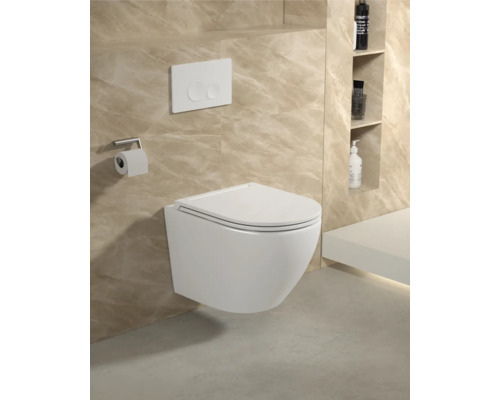 Wandhangend toilet met bedieningspaneel en toiletpapierhouder in een badkamer met planken