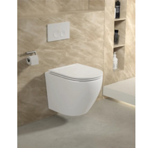 Wandhangend toilet met bedieningspaneel en toiletpapierhouder in een badkamer.