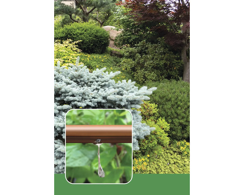 Close-up van een bruine irrigatieslang met druppelaar voor een tuin met diverse planten en struiken.