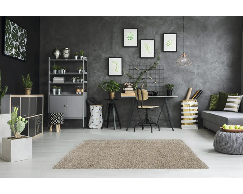 Woonkamer met tapijt, bureau, rek en decoratieve elementen.