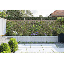 Tuinscene met privacyscherm, beplante muur en betegelde vloer