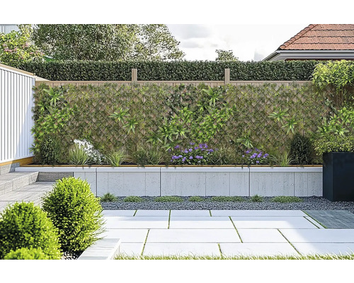 Tuinscene met privacyscherm, beplante muur en betegelde vloer