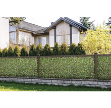 Tuinscherm Gardenia kunststof groen 180 x 90 cm
