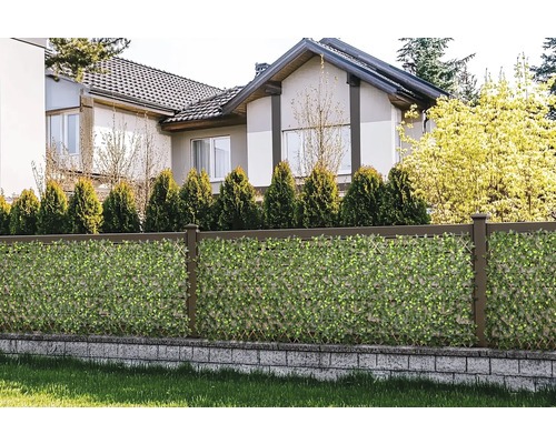 Tuinhek met privacymat en huis op de achtergrond