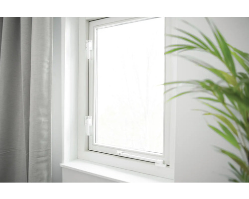 Wit raam met beslag, gordijn en kamerplant