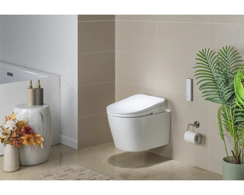 Badkamer met wandhangend toilet met douchefunctie, afstandsbediening, toiletpapierhouder, decoratie en badmat