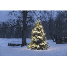 Sneeuw bedekte kerstboom met verlichting in de wintertuin.