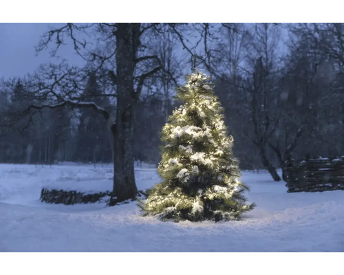 Sneeuw bedekte kerstboom met verlichting in de wintertuin.