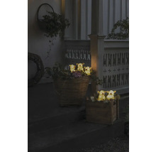 Decoratieve scène met verlichte koeienfiguren in manden op een trap