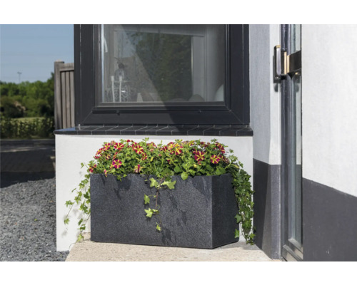 Bloembak met staande petunia''s voor een raam