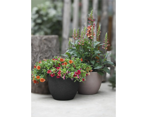 Twee beplante bloempotten voor buiten.