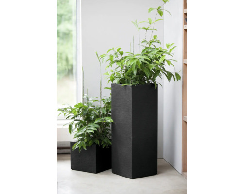 Twee beplante, rechthoekige plantenbakken binnenshuis.