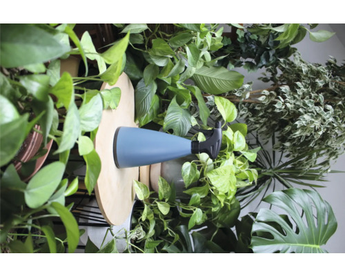 Plantenspuit met verstelbare sproeikop en diverse kamerplanten