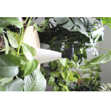 Plantenspuit wit 1 liter