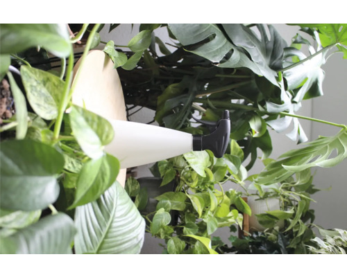 Plantenspuit tussen groene planten