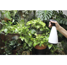 Plantenspuit wit 1 liter