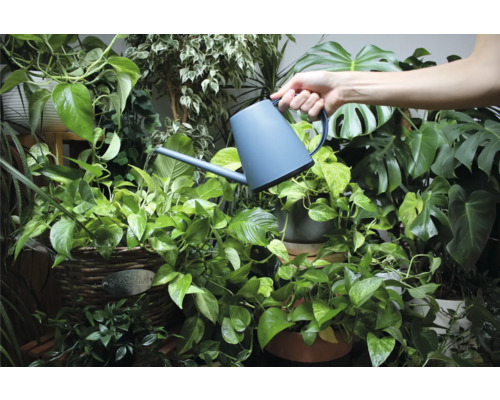 Hand die planten water geeft met een gieter in een lichte, georganiseerde ruimte.