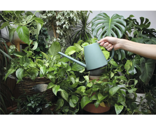 Een persoon geeft planten water met een gieter in een lichte ruimte