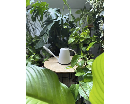 Witte gieter op een tafel omringd door kamerplanten