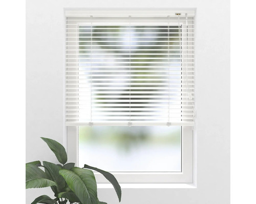 Raam met jaloezie voor lichtregeling