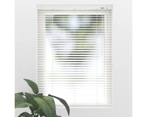 Raam met horizontale jaloezieën voor lichtregeling