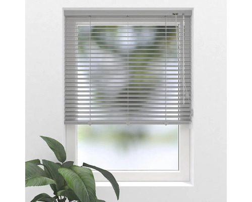 Raam met horizontale jaloezieën voor lichtregeling