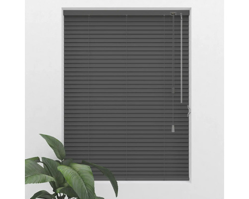 Gesloten jaloezie voor het raam met bedieningsketting