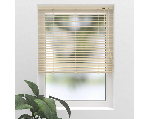 Raam met horizontale jaloezieën voor lichtregulering