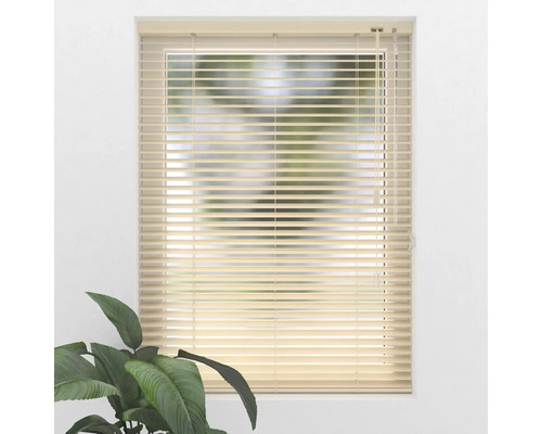 Raam met horizontale jaloezieën en kamerplant