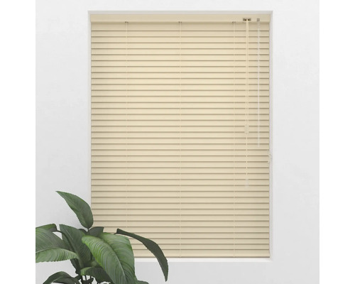 Raam met gesloten jaloezieën en kamerplant