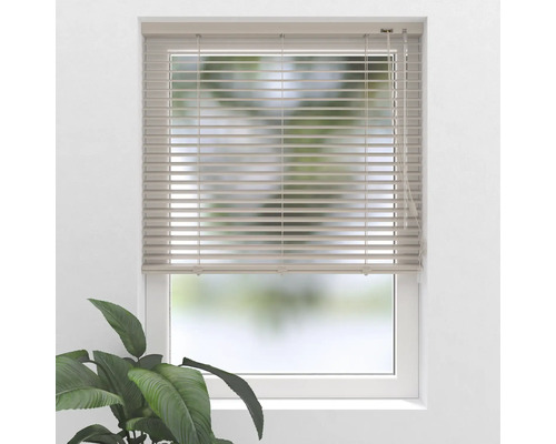 Raam met horizontale jaloezieën voor lichtregeling