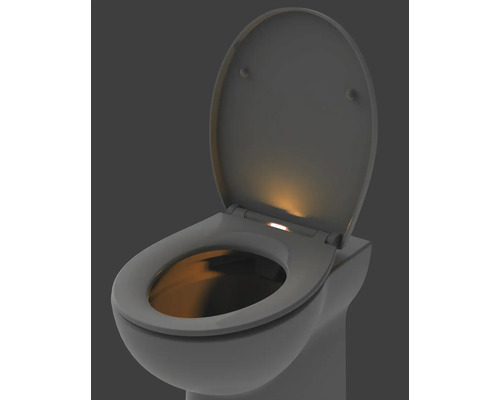 Toilet met open deksel en geïntegreerde verlichting