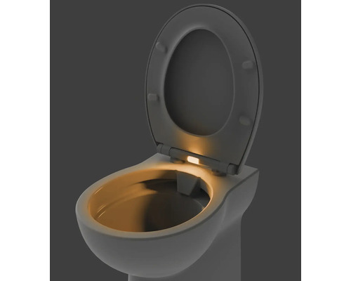 Toilet met open toiletdeksel en geïntegreerde verlichting