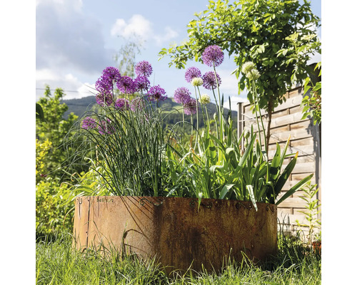 Ronde metalen plantenbak met diverse planten in de tuin.
