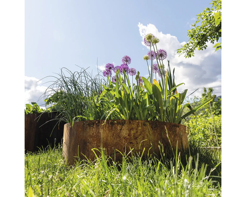 Bloemen en kruiden in plantenbakken in de tuin