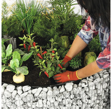 Persoon beplant een verhoogde tuinbak met groenten en kruiden.